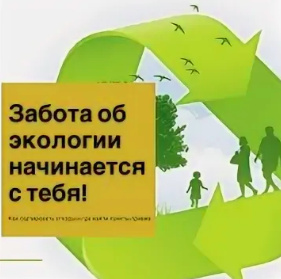 Забота об экологии начинается с тебя!